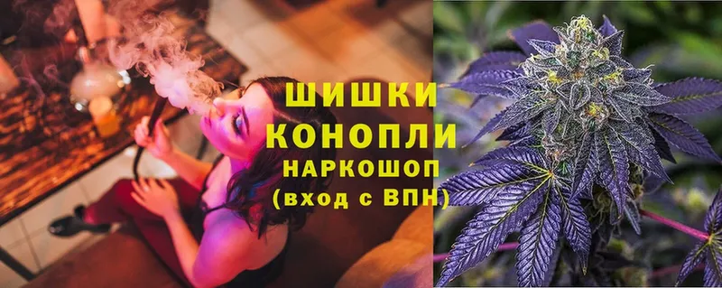 как найти   Гусев  Шишки марихуана SATIVA & INDICA 